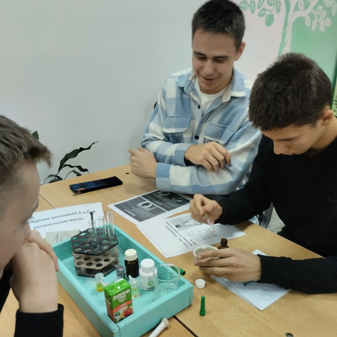 Исследовательские мини-проекты. Занятие по химии в центре Точка роста для учащихся 8-10 классов.